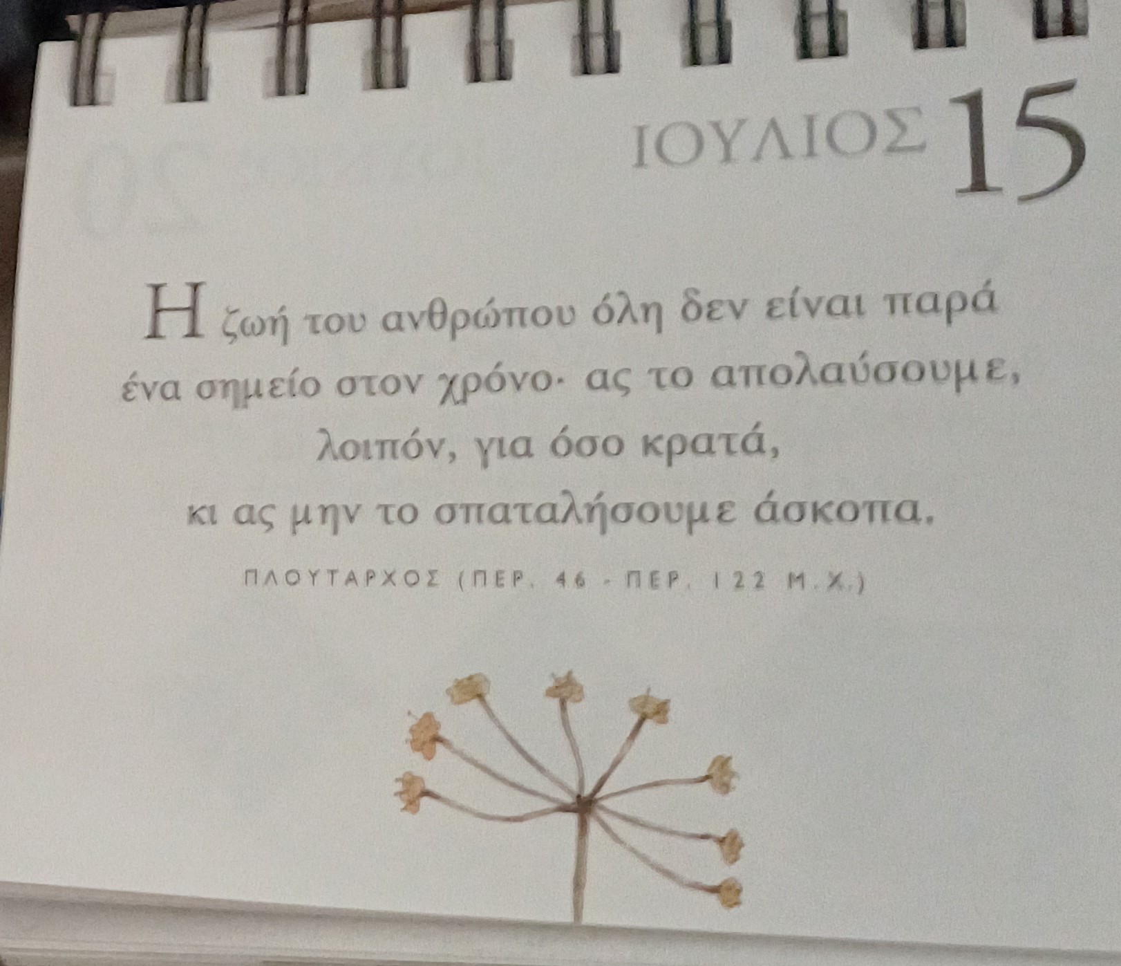 15 Ιουλίου - Σκέψη για σένα